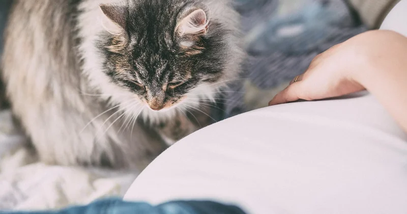 Que faire face à une réaction allergique chez un bébé ou un jeune enfant