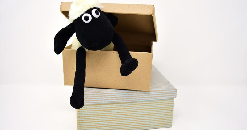Les activités sensorielles à faire à la maison avec un bébé de 6 mois
