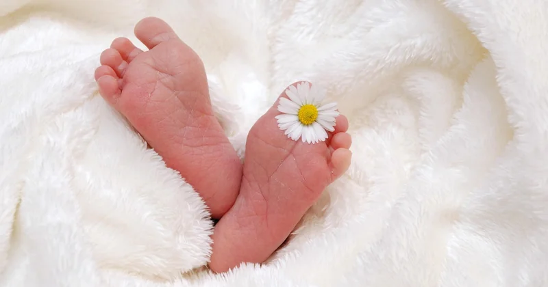 Comment participer à une liste de naissance minipouce