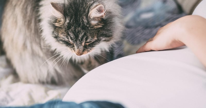 Comment reconnaître les allergies alimentaires chez l'enfant : le guide